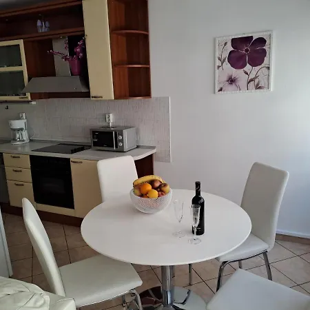 センター シルヴァーナ