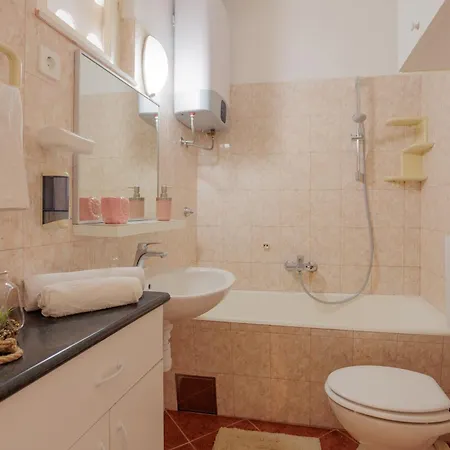 Center Silvana Apartament *