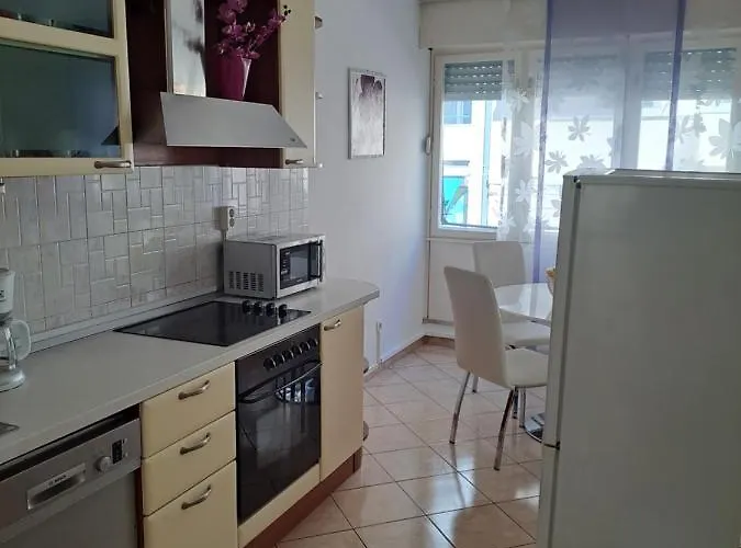 Center Silvana 아파트 *